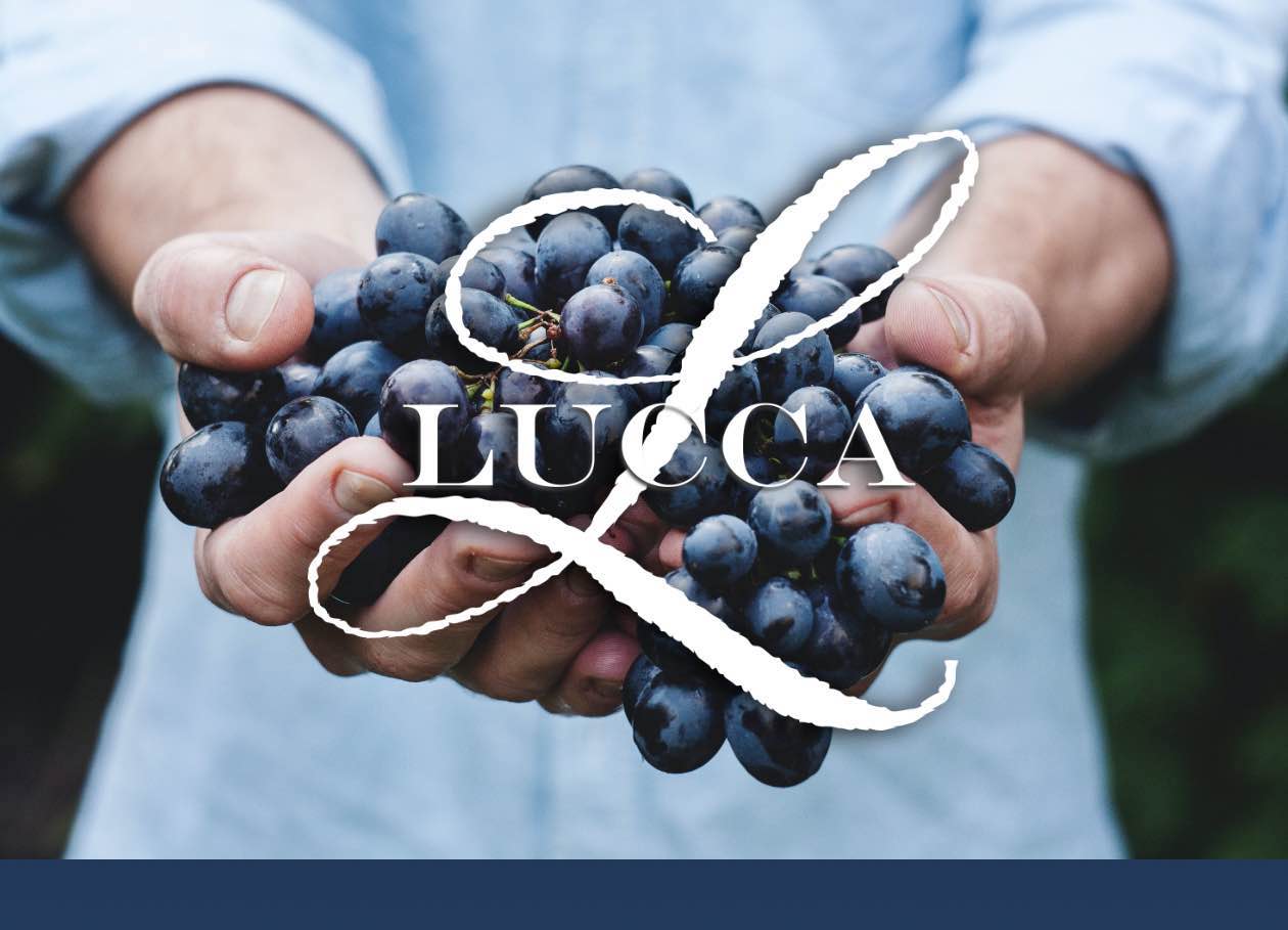 Lucca Winery
